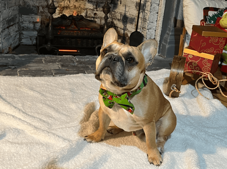 Screenshot 2023 09 15 12.13.13 AM 768x574