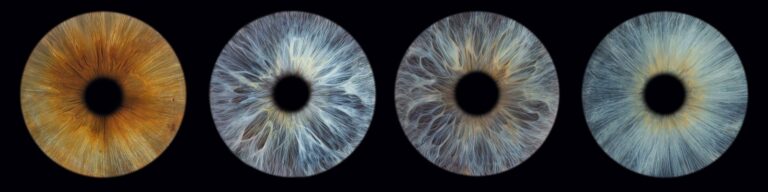 concrete iris custom eye gallery haunted happenings marketplace salem ma 1 768x192