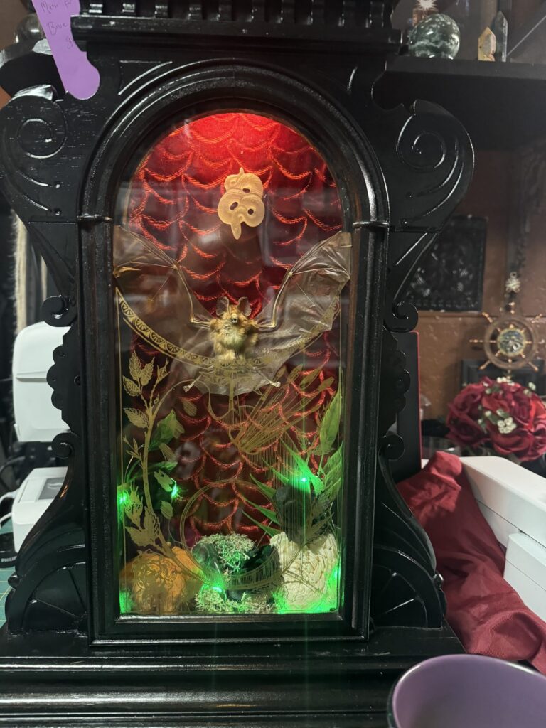 full moon creations 13 bat shadowbox haunted happenings marketplace salem ma 1 768x1024