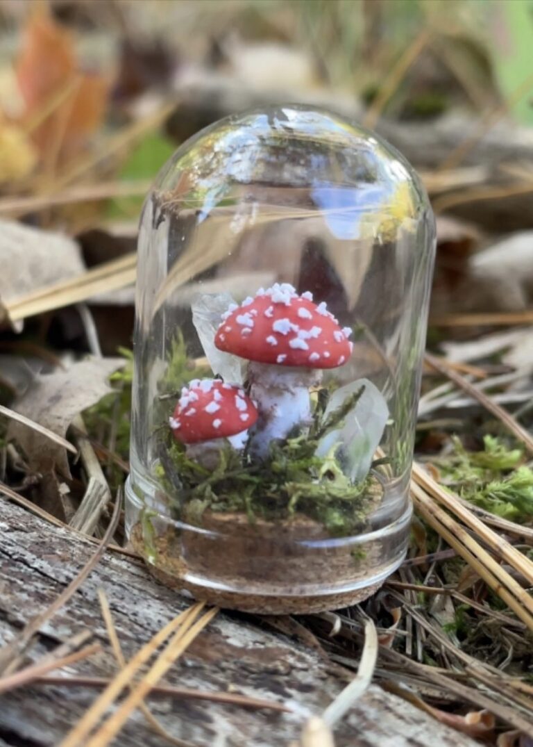 hazelbuds clay miniature mushroom dome haunted happenings marketplace salem ma 1 768x1075