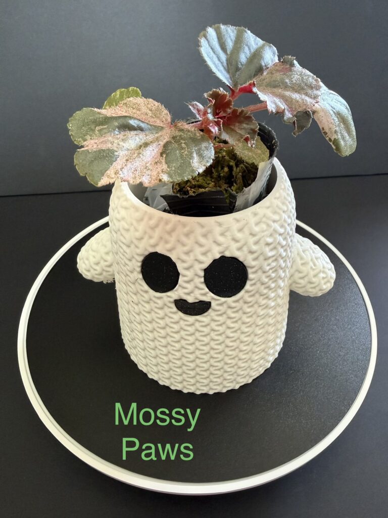 mossy paws rare plants ghost planter haunted happenings marketplace salem ma halloween 1 768x1024