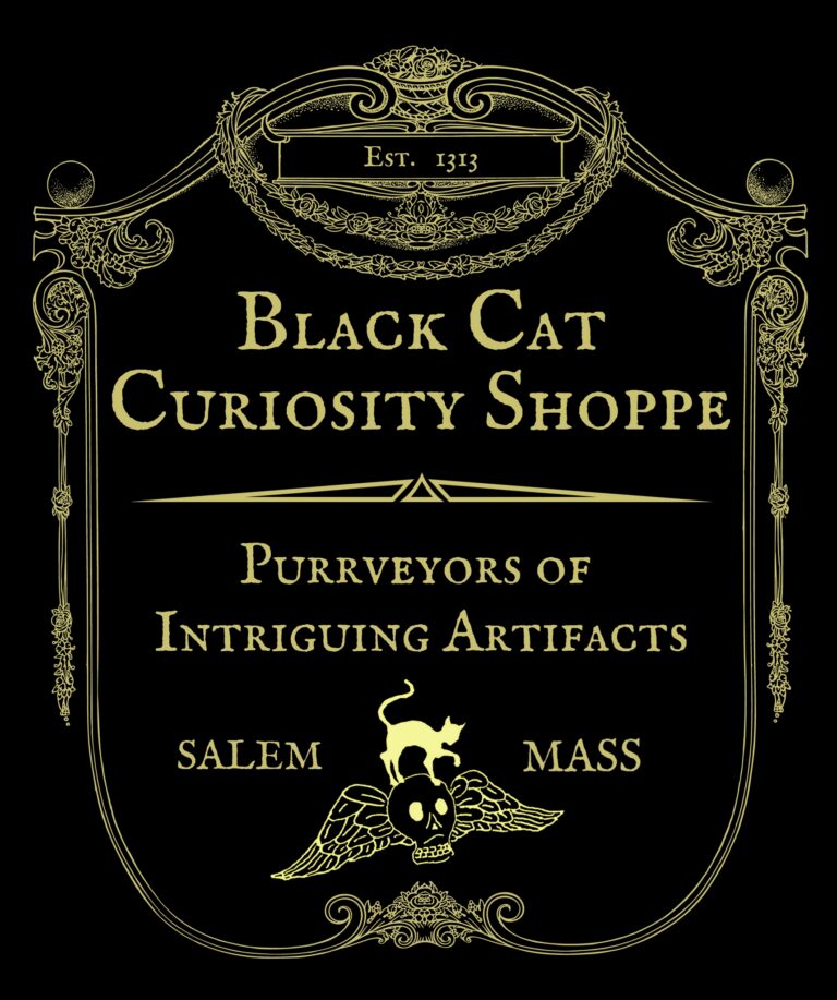 Black Cat Curiosity Shoppe sign in gold on black
